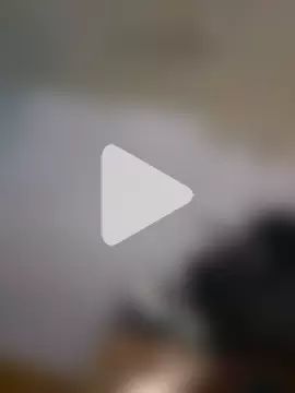 dogmimigg photo 1