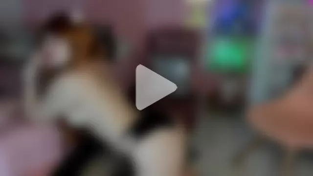 dolly_saylor photo 1