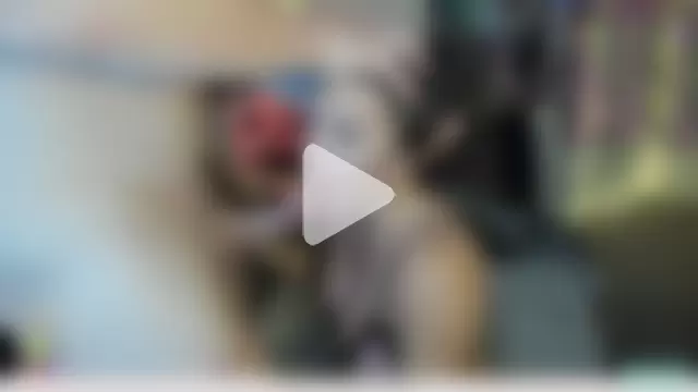 domanddollxx photo 5