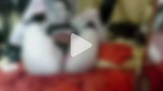 dominatrixredsonyja photo 3