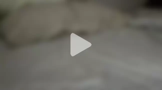 dragonrojo912 photo 8