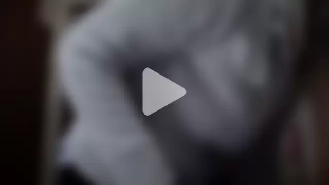 dream_alexa photo 14