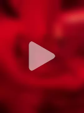 duomagique_off photo 20