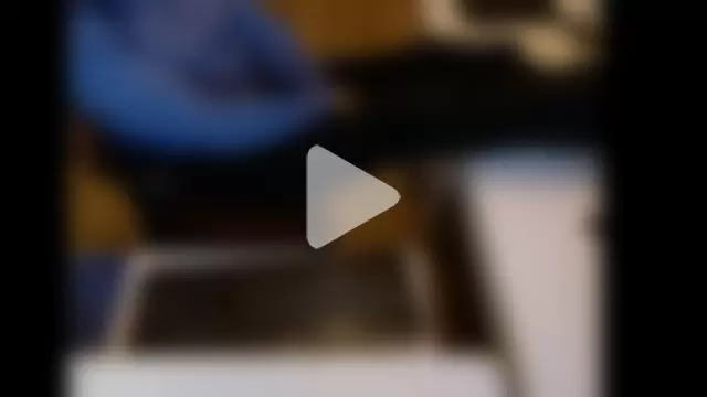 dutchpornking photo 1