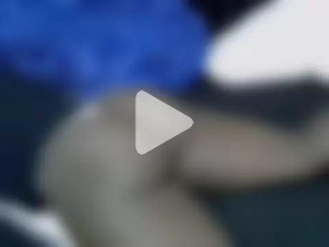 ebonycurvedass photo 13