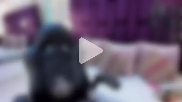 emma_carterr1 photo 12