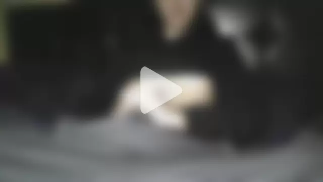 esmerturkmoon photo 12