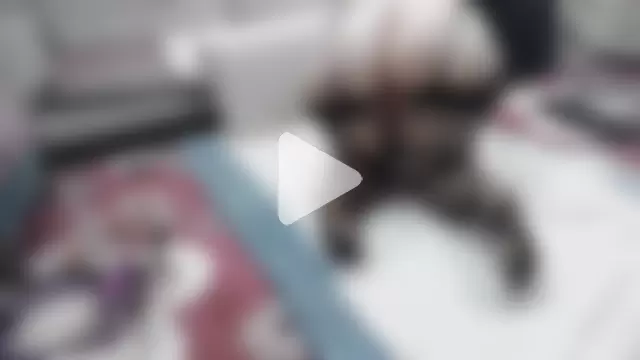 evli_ateslicift photo 21