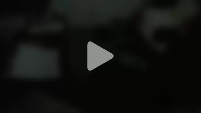 falconcam photo 18