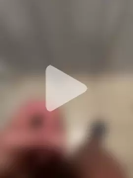 familia0210 photo 16