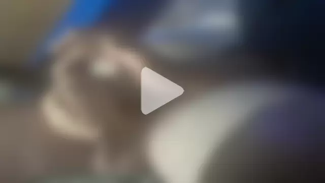 fanfancoquinFR photo 8