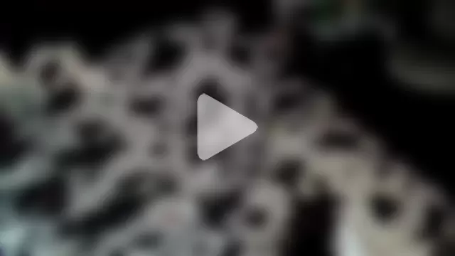 fantasymade69 photo 6