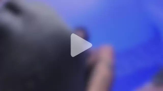 felix__star photo 22