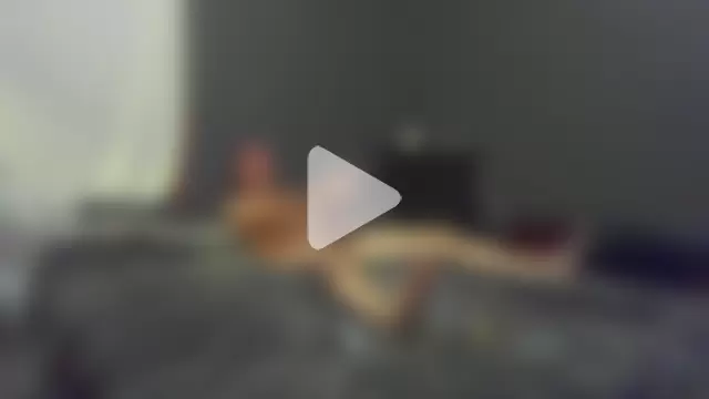 fillinemall photo 10