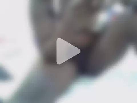 freaky_candy1 photo 8