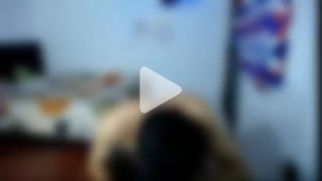 freddy_romas photo 6