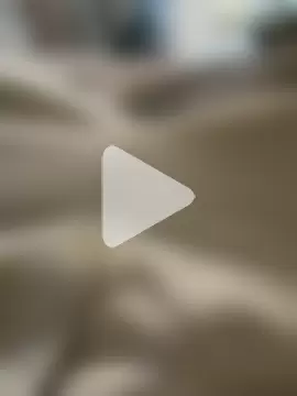freetom31 photo 6
