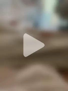 freetom31 photo 4