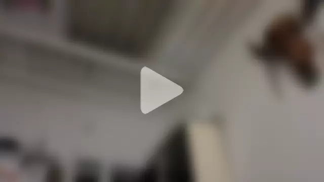 freyaa_sorcerees photo 26