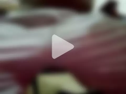 funboytamildick photo 4