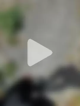 funlad245 photo 16