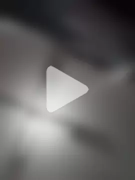 gemini12838 photo 5