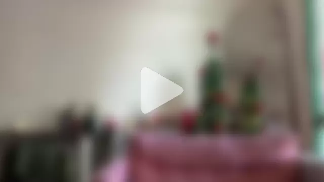 gerson173Hugo photo 2