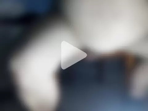 gordinhocachondo photo 15