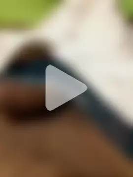 greenzorawar photo 25