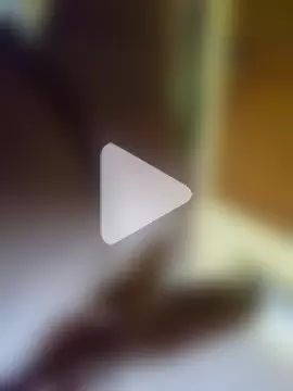 greenzorawar photo 11