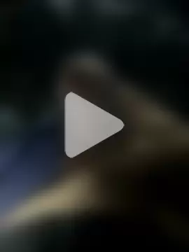 groschibre40100 photo 20