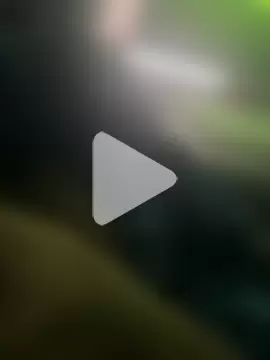 groschibre40100 photo 19