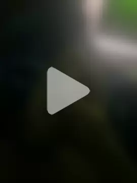 groschibre40100 photo 17