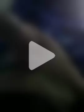 groschibre40100 photo 13