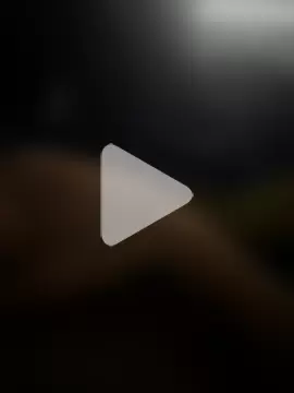 groschibre40100 photo 12