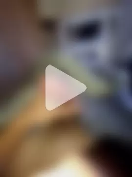 guilherme205 photo 1