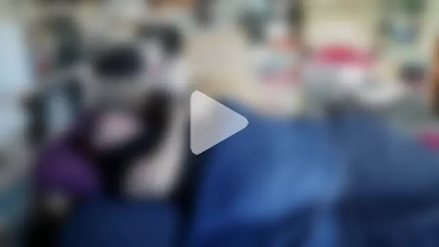 hadeszeuss2 photo 13