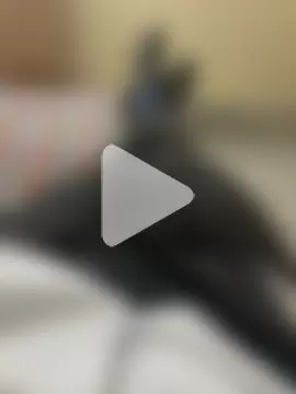 hairyboypenis photo 1