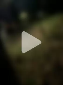 harleybarker photo 2