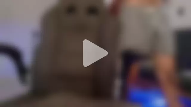 harry_reems1 photo 18