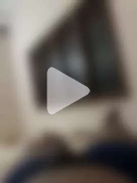 haz_stp_hny2 photo 2