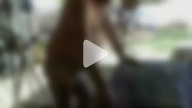 herbie010666 photo 19