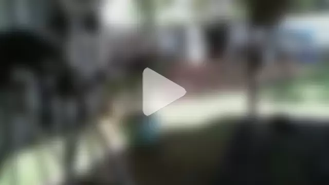 herbie010666 photo 16