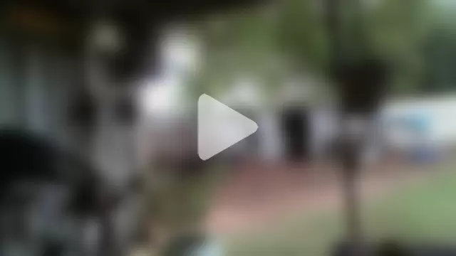 herbie010666 photo 13