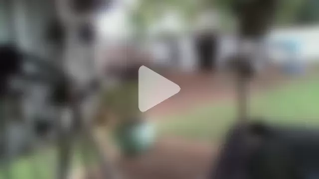 herbie010666 photo 12