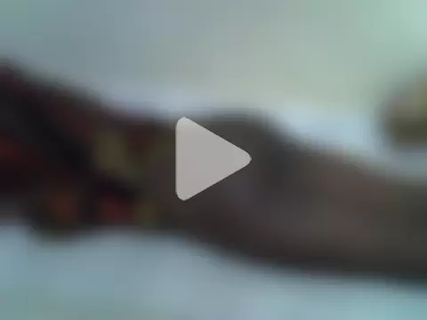 hey_its_andreana photo 4