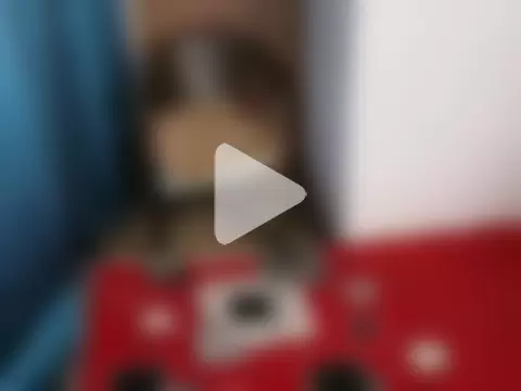 hikary_hall photo 17