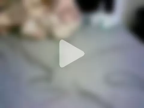 honeypotsweet photo 16