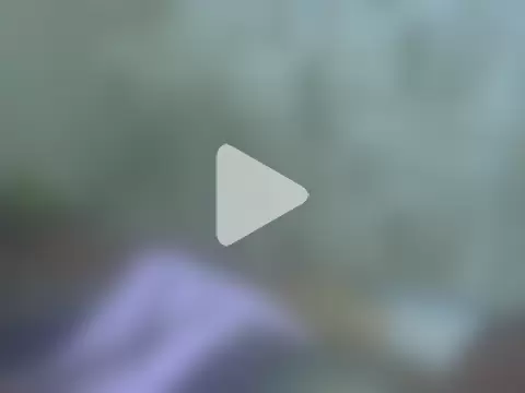 hotSANDRA_STARR photo 7