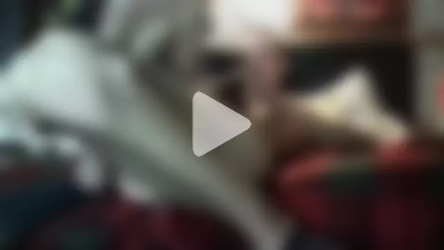 iamNOTGAY90 photo 26